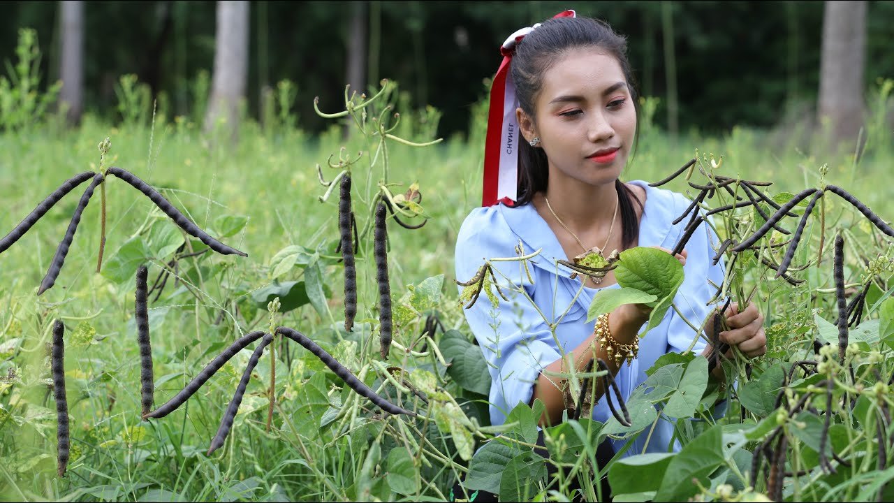 The Allure of Green Bean Milk Drink A Vietnamese Specialty