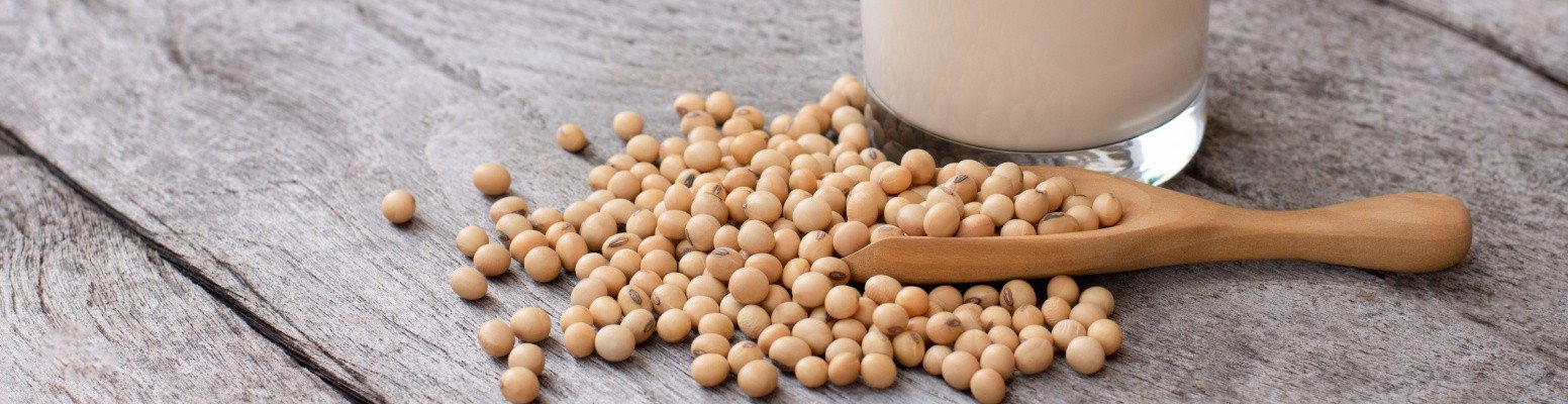 The Wonders of Pure Soy Milk A Nutritional Powerhouse